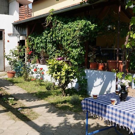 Etnobubi Apartment Novi Sip Luaran gambar
