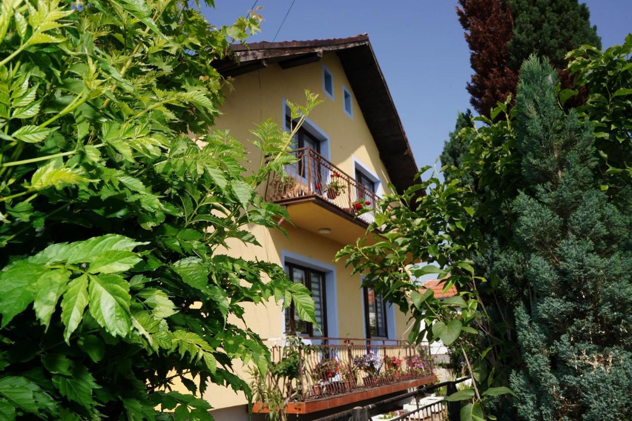 Etnobubi Apartment Novi Sip Luaran gambar