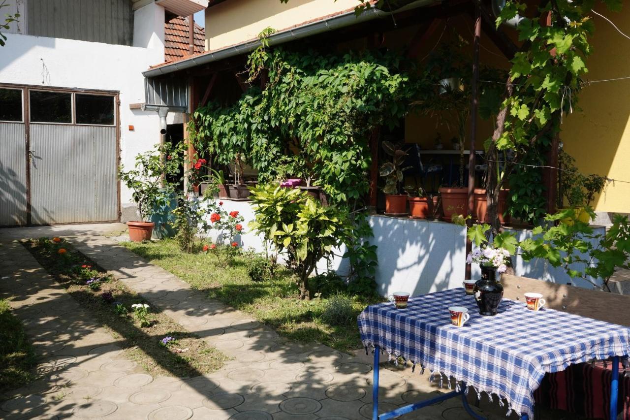 Etnobubi Apartment Novi Sip Luaran gambar