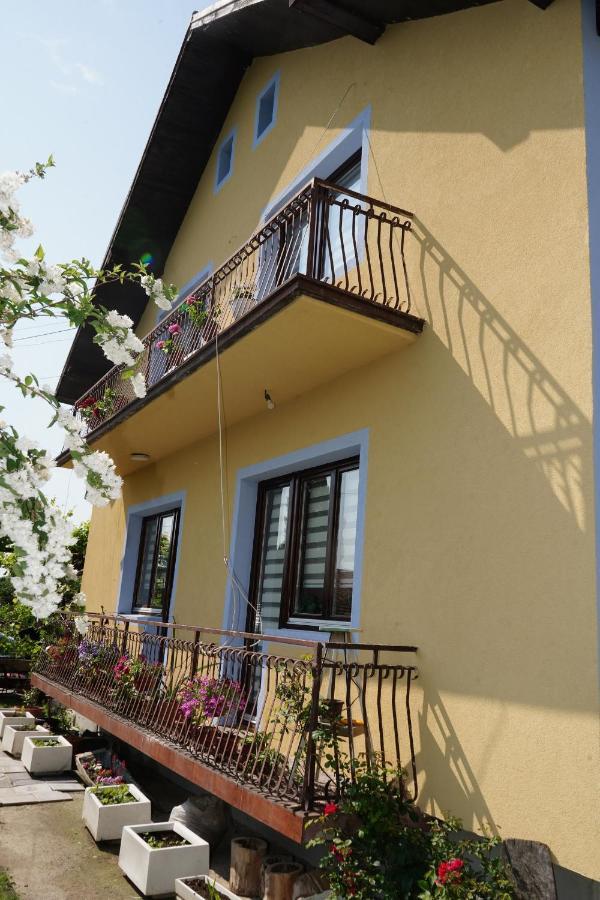 Etnobubi Apartment Novi Sip Luaran gambar