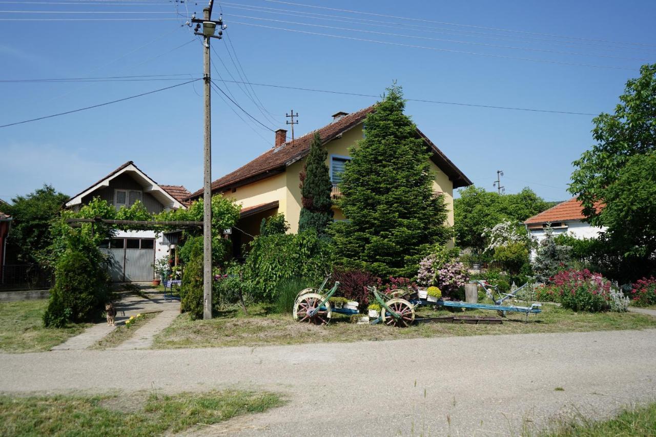 Etnobubi Apartment Novi Sip Luaran gambar