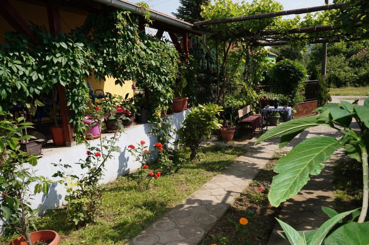 Etnobubi Apartment Novi Sip Luaran gambar
