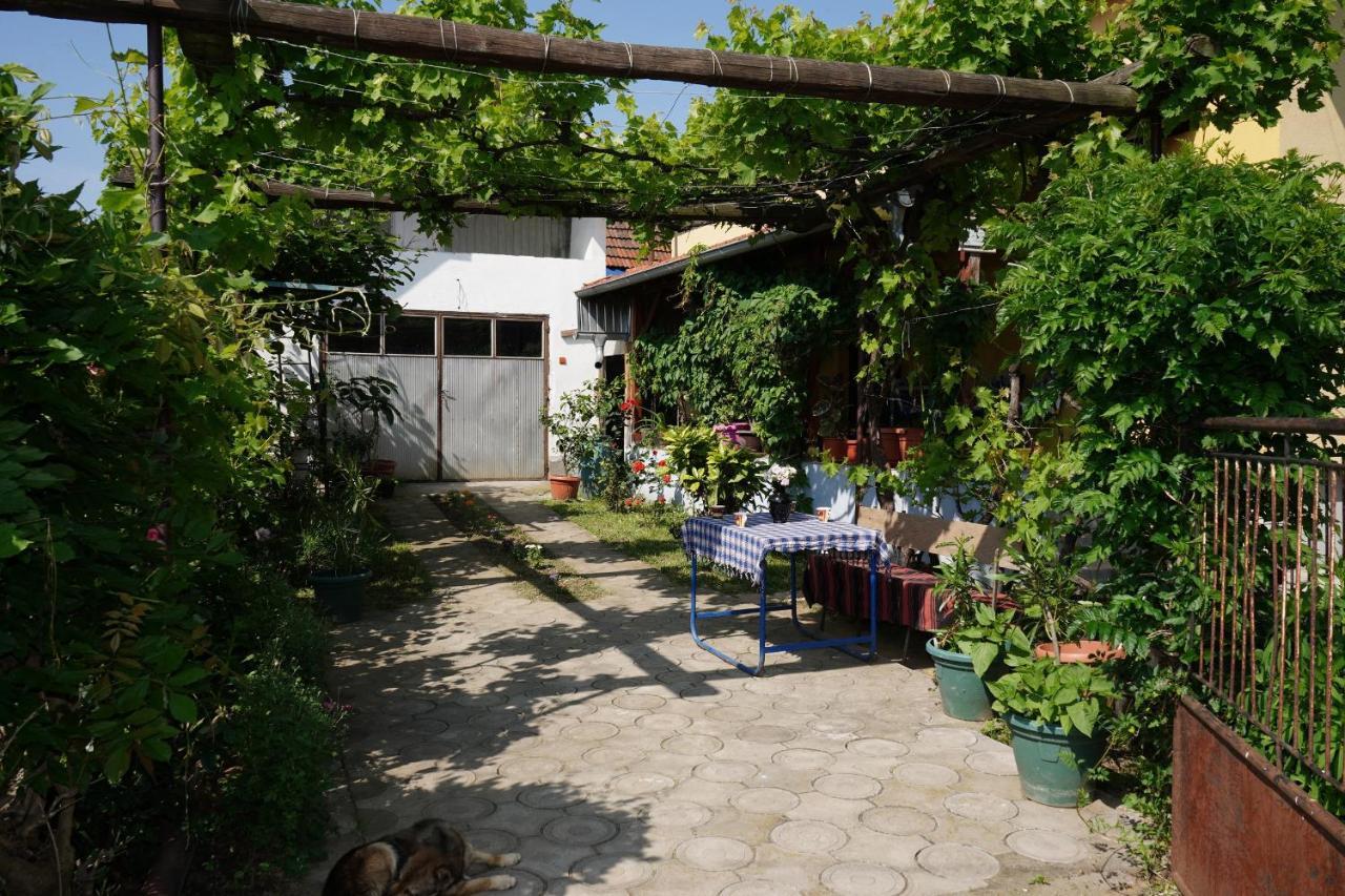 Etnobubi Apartment Novi Sip Luaran gambar