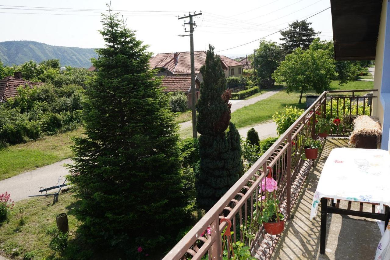 Etnobubi Apartment Novi Sip Luaran gambar